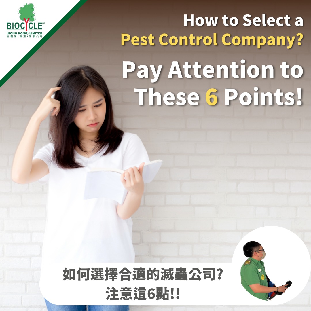 How to Select a Pest Control Company? - BioCycle (Hong Kong) Limited